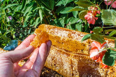 Similar image 21691396