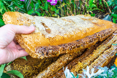 Similar image 21691399