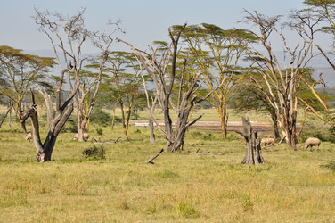 Similar image 21688478