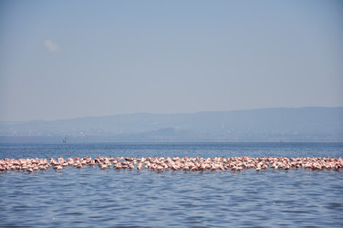 Similar image 21688479