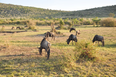 Similar image 21688481