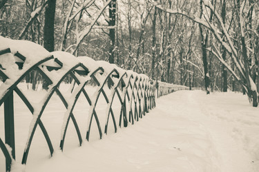 Similar image 21688493