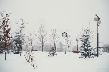 Similar image 21688495