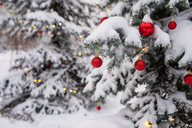 Similar image 21688498