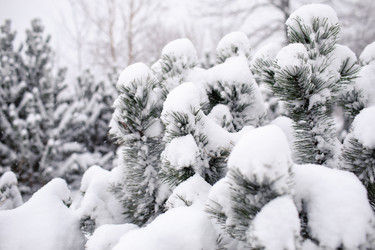 Similar image 21688500