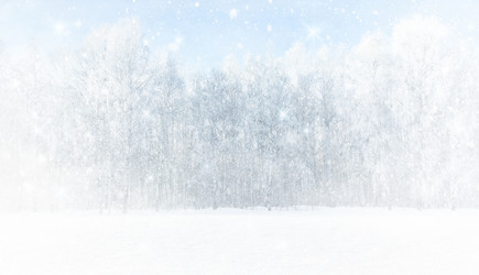 Similar image 21691403