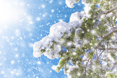 Similar image 21691413