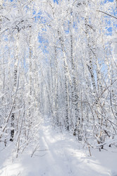 Similar image 21691419