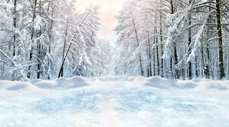 Similar image 21691422