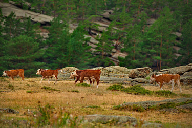 Similar image 21691551