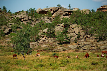 Similar image 21691552