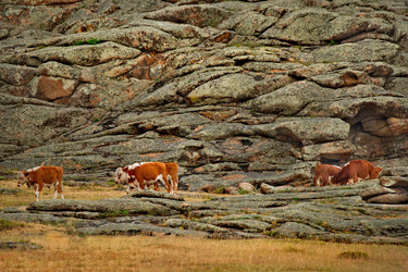 Similar image 21691553