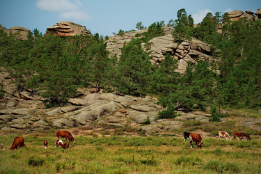 Similar image 21691554