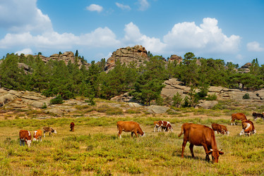 Similar image 21691555