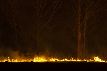 Similar image 21691557