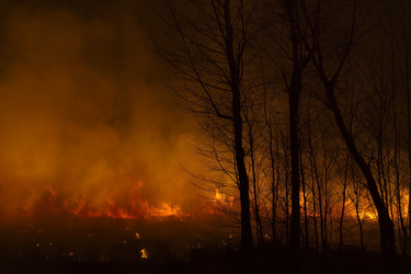 Similar image 21691558