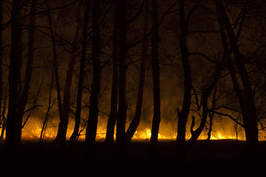 Similar image 21691559