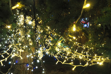 Similar image 21692658