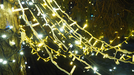 Similar image 21692659