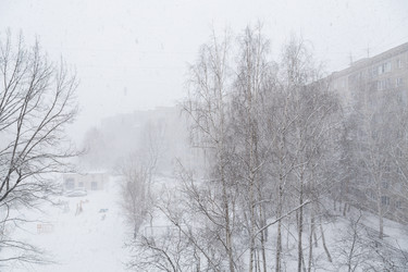 Similar image 21689318