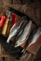 Similar image 21690487