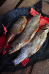 Similar image 21690488