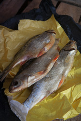 Similar image 21690491