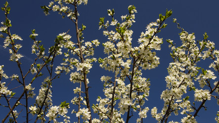 Similar image 21690493