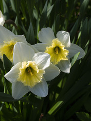 Similar image 21690494