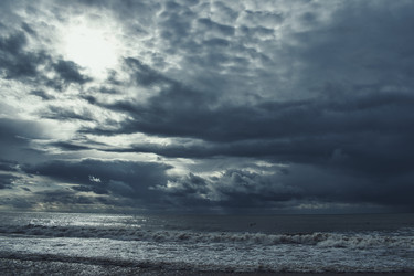 Similar image 21688546