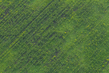 Similar image 21695726