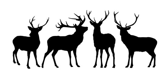 Similar image 21688809