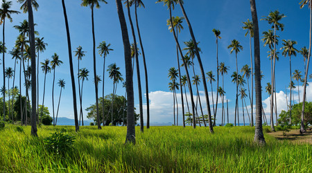 Similar image 21691576