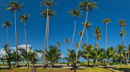 Similar image 21691578