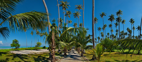 Similar image 21691579