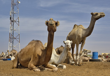 Similar image 21691580