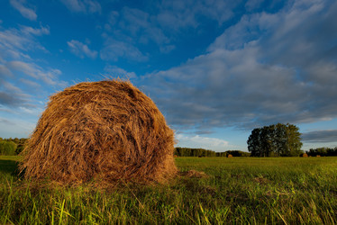 Similar image 21691582