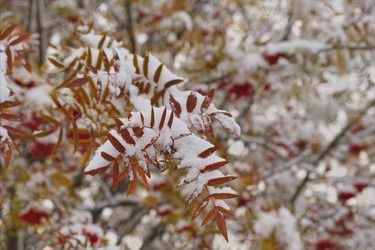 Similar image 21691583