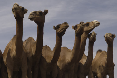 Similar image 21691584