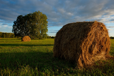 Similar image 21691585