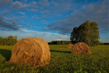 Similar image 21691586