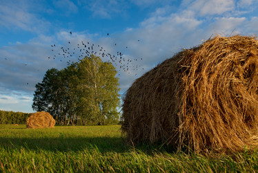 Similar image 21691587