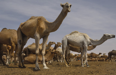 Similar image 21691588