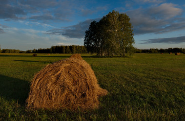 Similar image 21691591