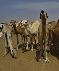 Similar image 21691593