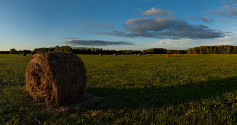 Similar image 21691594