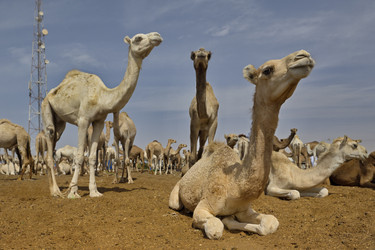 Similar image 21691596