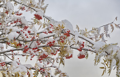 Similar image 21691597