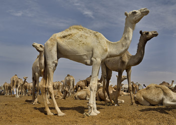 Similar image 21691599