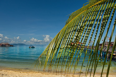 Similar image 21691604